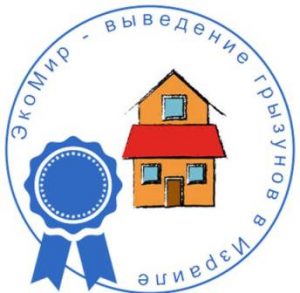 Мыши-израиль