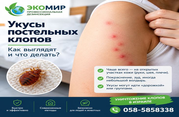 Укусы клопов