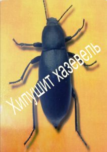 рисус_адбара