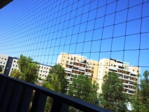 как-избавиться-от-голубей-на-балконе