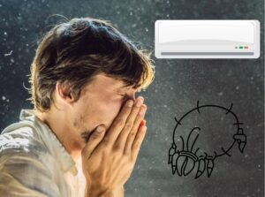 Чистка мазганов от пылевых клещей: важно ли это ?