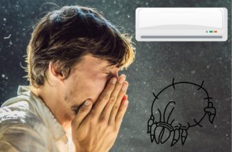 Чистка мазганов от пылевых клещей: важно ли это ?