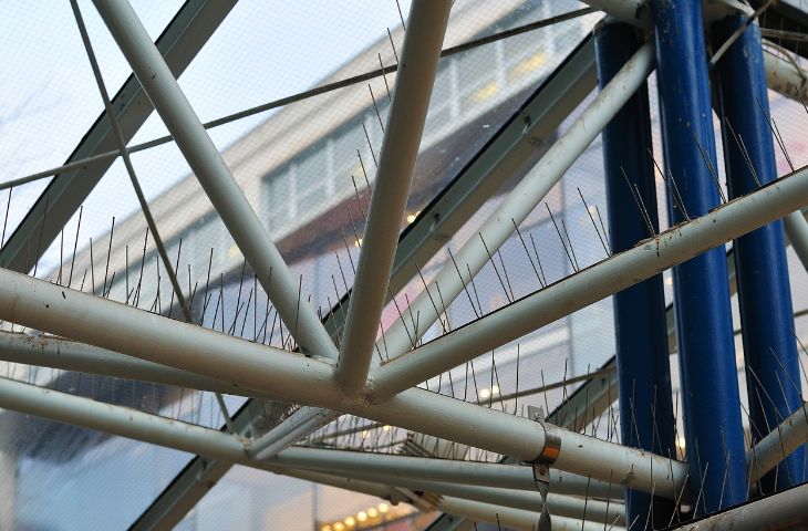 Шипы от голубей