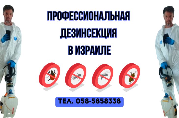Дезинфекция в Израиле
