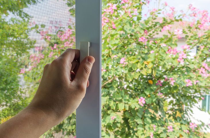 Сетки на окна Израиль