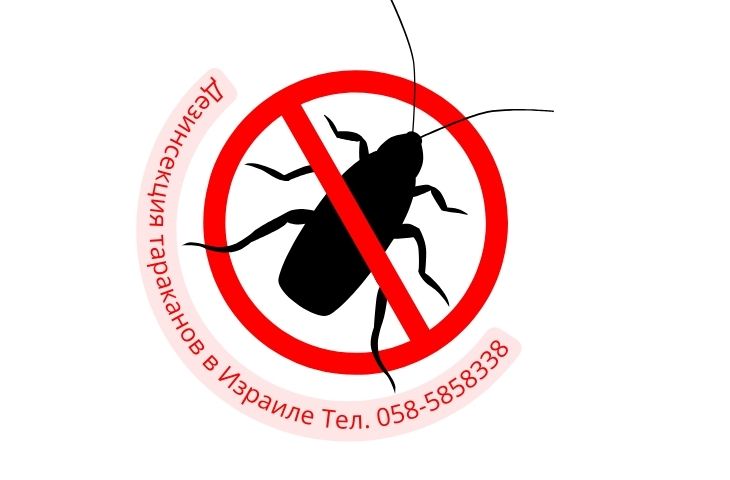 Тараканы в Израиле