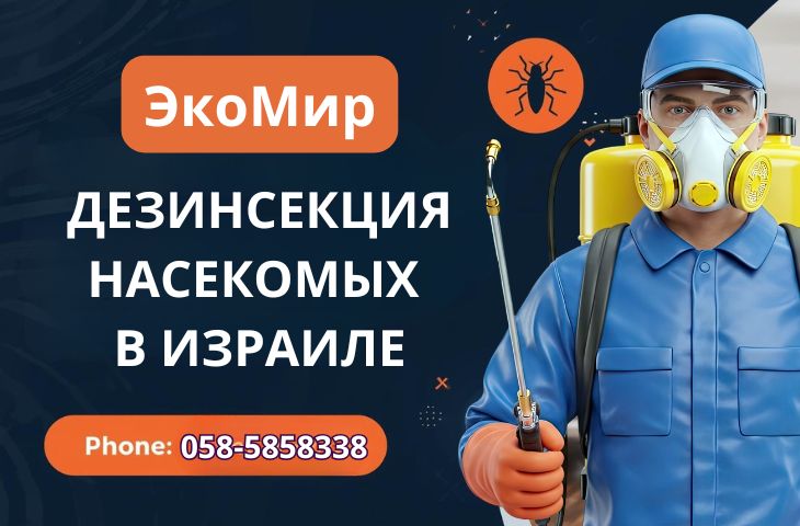 Дезинфекция в Израиле