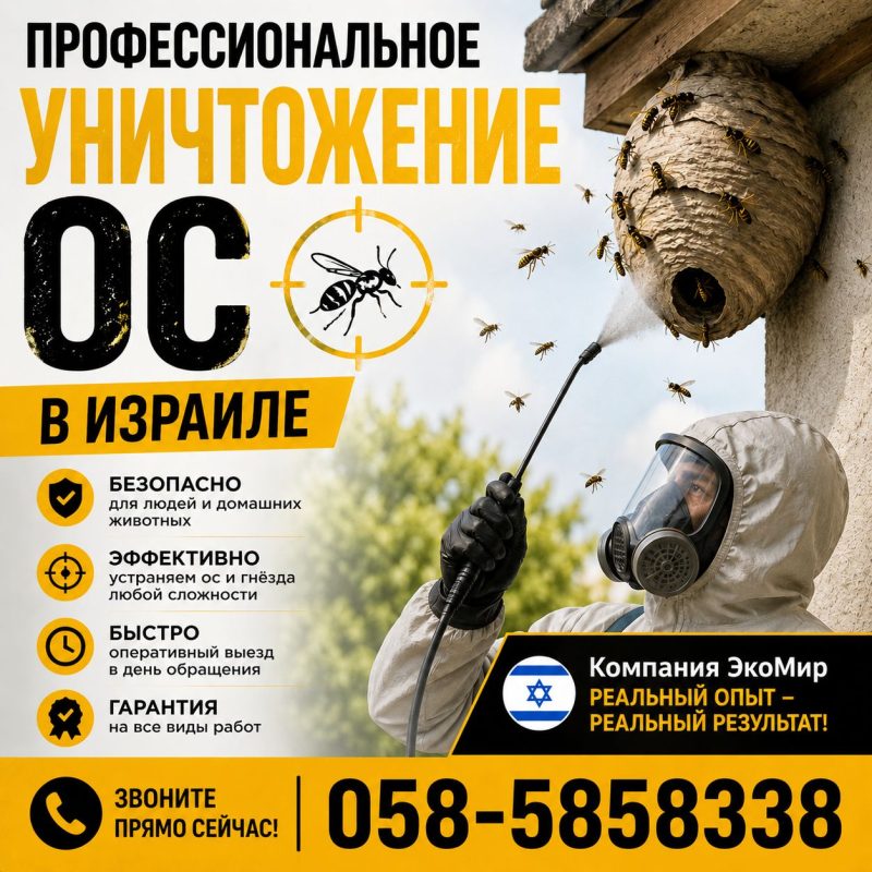 оса