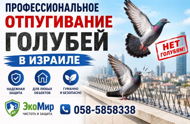 Отпугиватель голубей