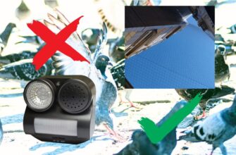 Почему отпугиватель голубей не решает проблему в Израиле