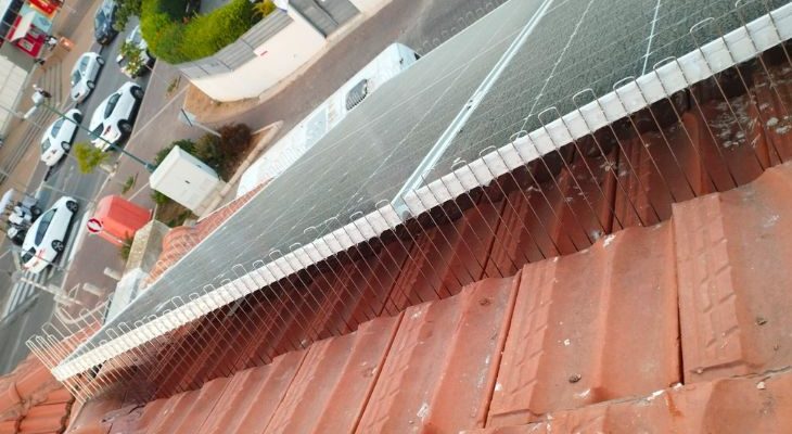 Защита солнечных панелей от голубей на крышах в Израиле