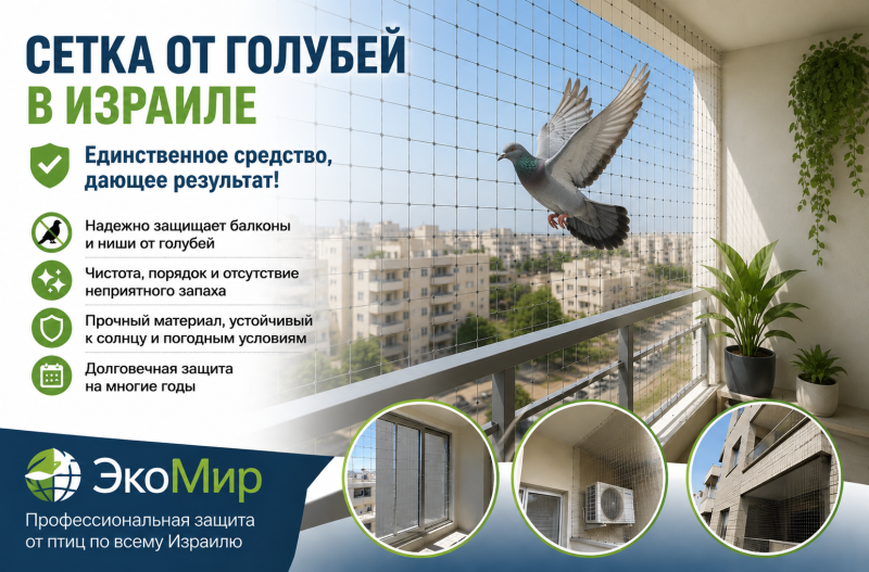 Сетка от голубей в Израиле — эффективная защита балконов