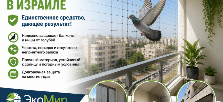 Сетка от голубей в Израиле — эффективная защита балконов
